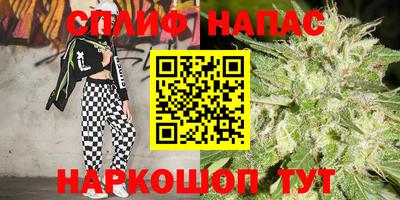 ГАЛЛЮЦИНОГЕННЫЕ ГРИБЫ Татарск