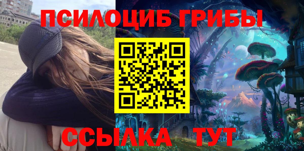 Новоалтайск  Псилоцибиновые грибы Cubensis  Вход с VPN  Галлюциногенные грибы Cubensis 